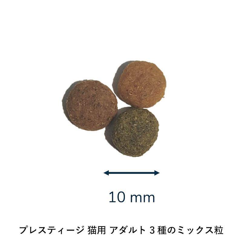 最短賞味2026.11.12・プレスティージ 猫用 アダルト 3種のミックス粒