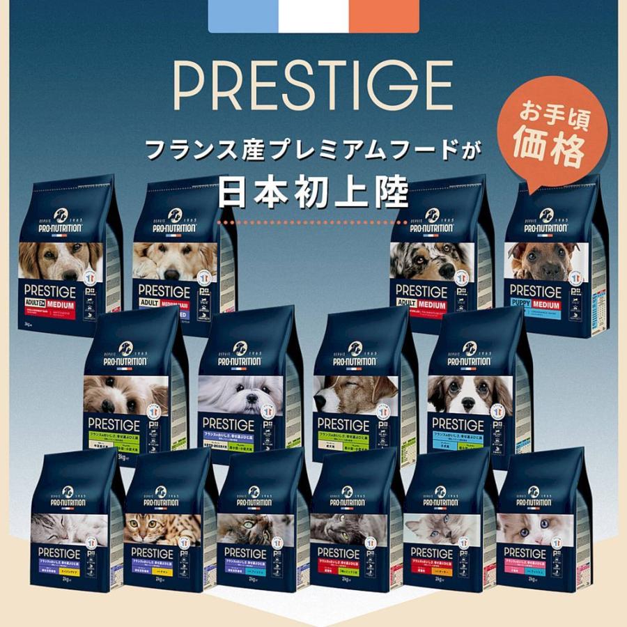 最短賞味2027.8.30・プレスティージ 猫用 エイジングケア 避妊去勢withチキン 400gシニア猫用キャットフード正規品pn35451 |  | 03