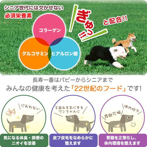 最短賞味2027.2・プライムケイズ 長寿一番 鶏 43g 全年齢対応 産地厳選 国産 無添加ごはん さかい企画 Prime KS pr01190 | プライムケイズ | 03