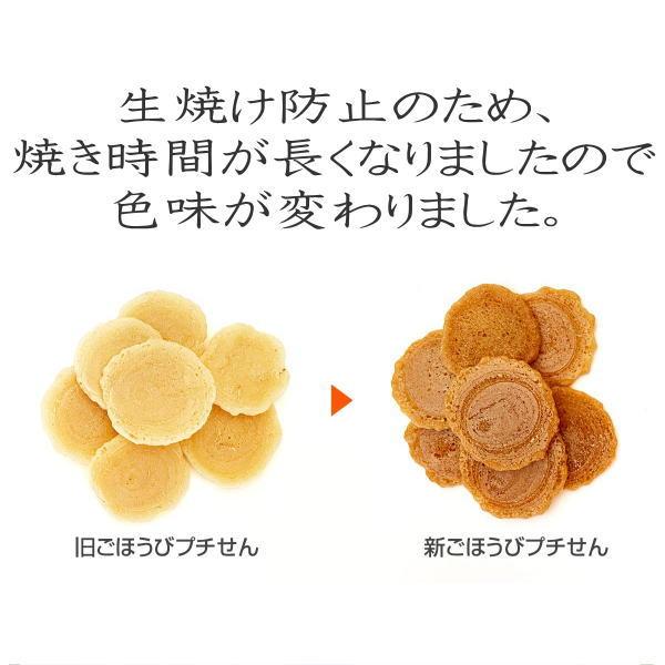 最短賞味2027.8・プライムケイズ ごほうびプチせん 20g 犬猫用おやつ さかい企画 Prime KS pr21449 | プライムケイズ | 01