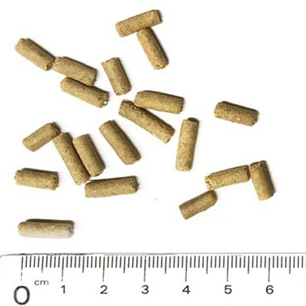 最短賞味2026.12・プライムケイズ 長寿一番 カンガルー 800g 犬猫用 全年齢対応 産地厳選 国産 無添加ごはん さかい企画 Prime KS pr31197 | プライムケイズ | 01