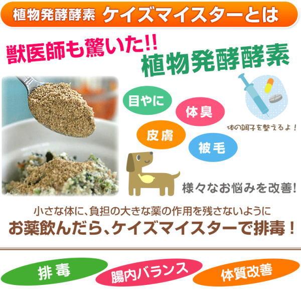 最短賞味2027.4・プライムケイズ ケイズマイスター 100g 犬猫用手作りごはん アミノ酸 植物酵素 さかい企画 Prime KS pr35324 | プライムケイズ | 03