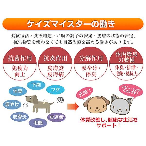 最短賞味2027.1・プライムケイズ ケイズマイスタープレミアム 100g 犬猫用 ヒアルロン酸 植物酵素 国産 無添加 さかい企画 Prime KS pr35362 | プライムケイズ | 04