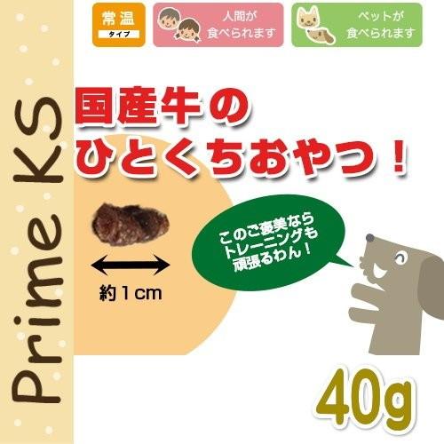最短賞味2027.6・プライムケイズ ビーフビッツ 40g 犬猫用おやつ 国産牛肉 無添加 さかい企画 Prime KS pr50807 | プライムケイズ | 01