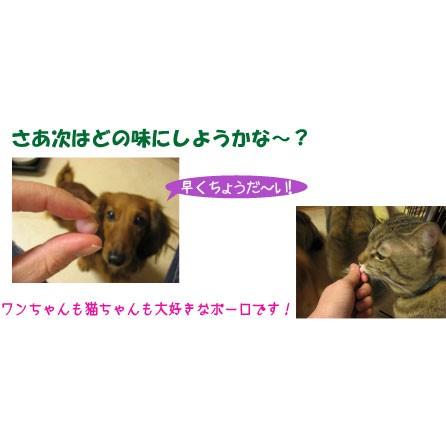 最短賞味2027.7・プライムケイズ カルシウム村のブルーベリー農園 ボーロ 80g 犬猫用おやつ さかい企画 Prime KS pr71512 | プライムケイズ | 02