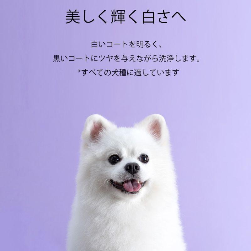 NEW 最短期限28.10.24・RENADOG レナドッグ/犬用ホワイトニングシャンプー300ml白毛黒毛用ren21840/8222300 |  | 03