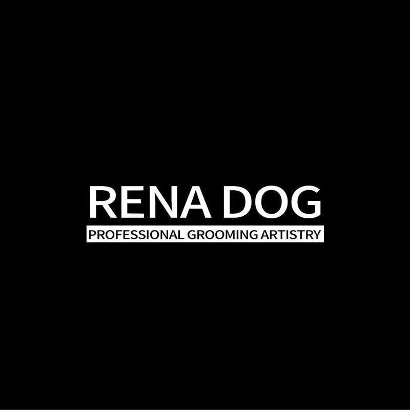 NEW 最短期限28.10.24・RENADOG レナドッグ/犬用ホワイトニングシャンプー300ml白毛黒毛用ren21840/8222300 |  | 06