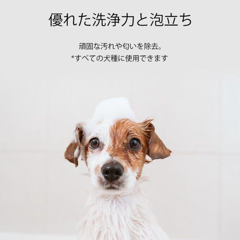 NEW 最短期限2029.5・RENADOG レナドッグ/犬用ディープクレンジングシャンプー無香料300ml/ren23097/8221300 |  | 03