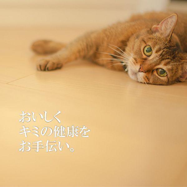 最短賞味2027.6・シグネチャー７ 水曜パテ ツナ＆ゴジベリー80g全年齢猫用総合栄養食Signature7正規品s7-p3 | Signature7 | 02