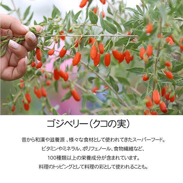 最短賞味2027.6・シグネチャー７ 水曜パテ ツナ＆ゴジベリー80g全年齢猫用総合栄養食Signature7正規品s7-p3 | Signature7 | 05