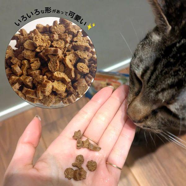最短賞味2027.2・シグネチャー７ クランチーミーティートリーツ チキン 50g猫用おやつ正規品s783089 | Signature7 | 01