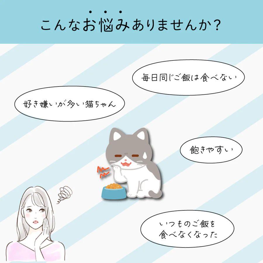 SALE最短賞味2026.5・シグネチャー７ ニュートリディライト7種セット 各4本×7種＝28本/猫おやつs7c7set |  | 02