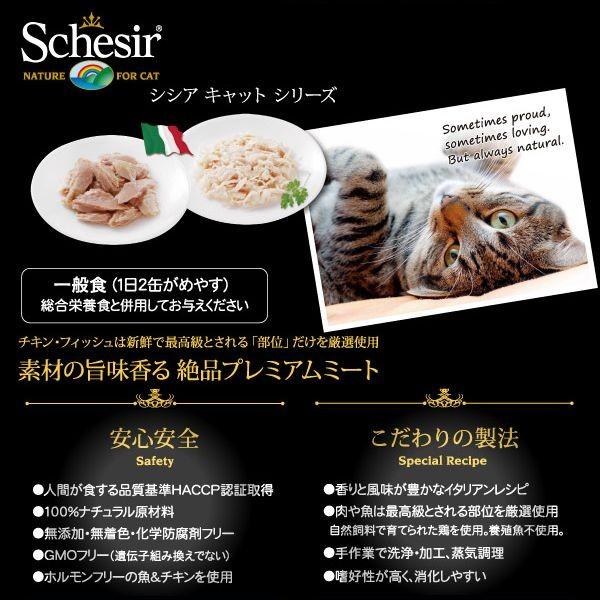 最短賞味2027.3・シシア 猫 (ツナ＆シーブリーム鯛)70g缶 scc3003成猫用ウェット キャットフードSchesir正規品 | シシア | 04