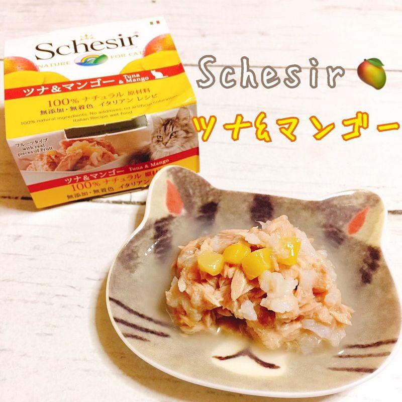 最短賞味2028.10・シシア 猫 キャット（ツナ＆マンゴー）75g缶scc354 成猫用ウェット 一般食 キャットフード ※在庫限り終売 | シシア