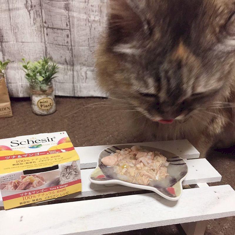 最短賞味2028.10・シシア 猫 キャット（ツナ＆マンゴー）75g缶scc354 成猫用ウェット 一般食 キャットフード ※在庫限り終売 | シシア | 02