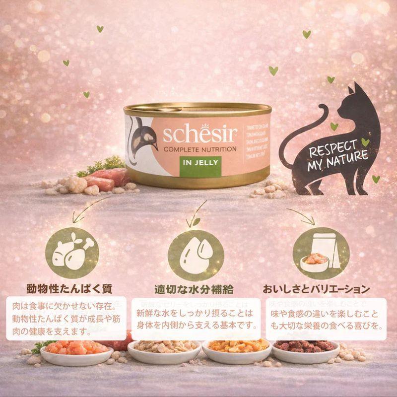 NEW 最短賞味2029.3・シシア 猫 ゼリータイプ ツナwithエビ50g×6個パック scc53014成猫用総合栄養食キャットフードSchesir正規品SALE | シシア | 04