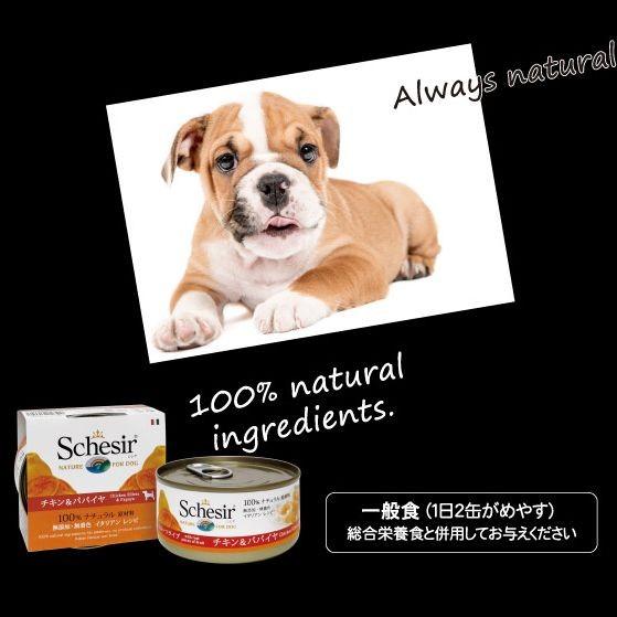 最短賞味2025.6・シシア 犬 マルチパック(チキンフィレ＆ハム)85g×4缶