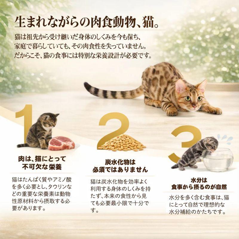 最短賞味2029.2・シシア 猫 ゼリータイプ パウチ ツナ85g scc71009成猫用総合栄養食キャットフードSchesir正規品 | シシア | 02