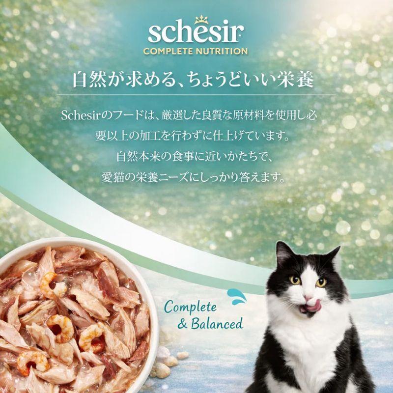 NEW 最短賞味2029.2・シシア 猫 ゼリータイプ パウチ ツナwithシーブリーム85g scc71122成猫用総合栄養食キャットフードSchesir正規品SALE | シシア | 03