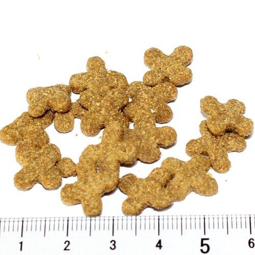 最短賞味2027.7.28・ソリッドゴールド 猫 カッツフラッケン ラム＆玄米 500g全年齢猫用キャットフードSolidGold正規品sgc63014 | ソリッドゴールド | 01