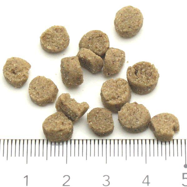 最短賞味2026.9.1・スマイリー 国産ポークdeli 600g全年齢犬用一般食ドライ正規品sm34061 | Smiley（ペット用品） | 02