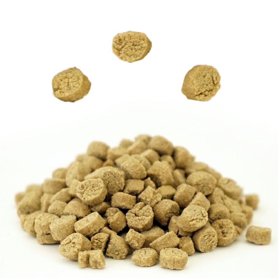 最短賞味2027.10.9・Smiley (スマイリー) 国産ポークdeli 5kg全年齢犬用一般食ドライ正規品sm34085 | Smiley（ペット用品） | 04