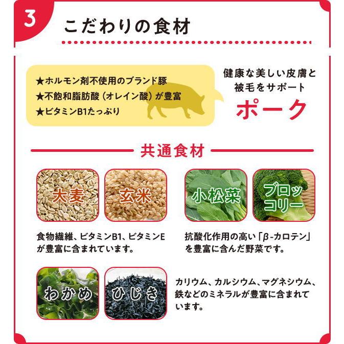 最短賞味2027.10.9・Smiley (スマイリー) 国産ポークdeli 5kg全年齢犬用一般食ドライ正規品sm34085 | Smiley（ペット用品） | 06