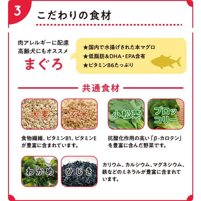 最短賞味2026.9.18・Smiley (スマイリー) 国産まぐろdeli 600g全年齢犬用一般食ドライ正規品sm34115 | Smiley（ペット用品） | 06