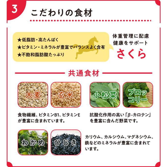 最短賞味2026.5.7・Smiley (スマイリー) 国産さくらdeli 600g全年齢犬用一般食ドライ正規品sm34160 | Smiley（ペット用品） | 05