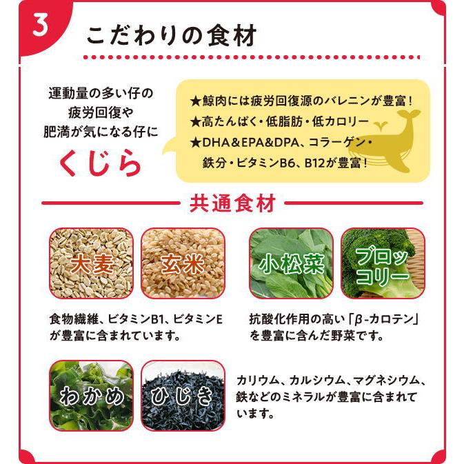 最短賞味2026.5.21・スマイリー 国産くじらdeli 600g全年齢犬用一般食ドライ正規品sm34290 |  | 05