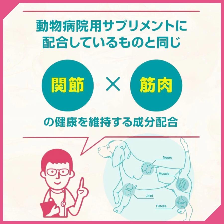 最短賞味2026.8・スマイリー アクティブケア チュー 鹿肉14枚 犬用おやつ関節ケア 国産sm36034 | Smiley（ペット用品） | 02