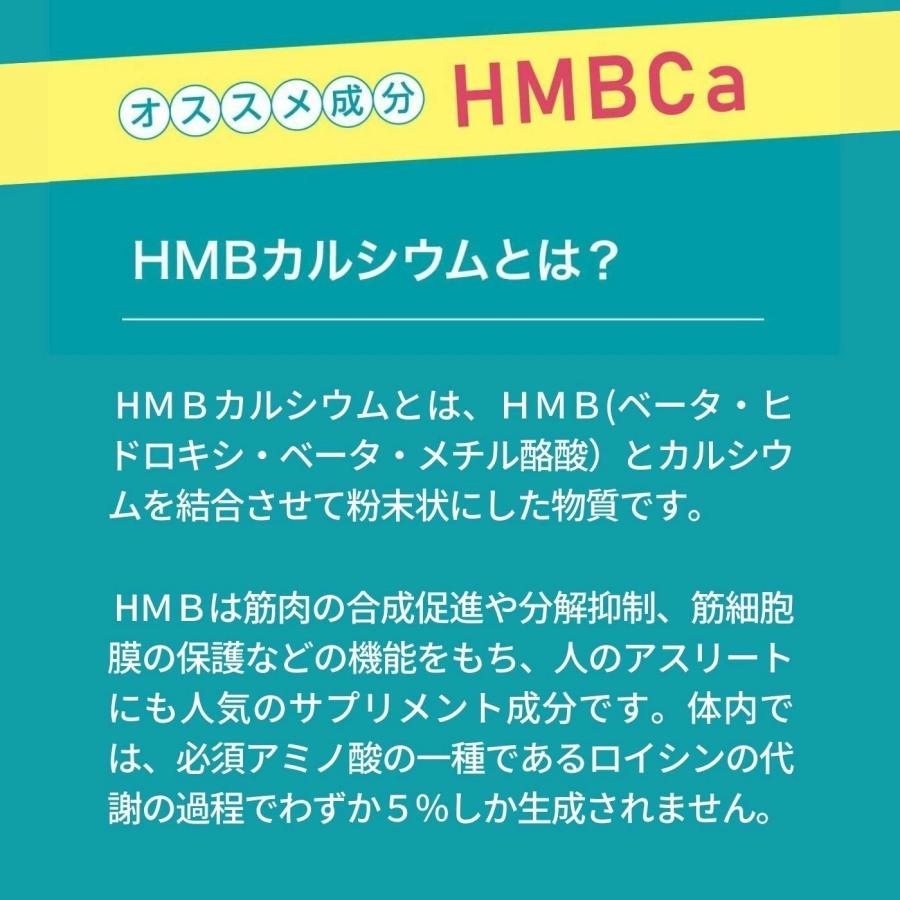 最短賞味2026.8・スマイリー アクティブケア チュー 鹿肉14枚 犬用おやつ関節ケア 国産sm36034 | Smiley（ペット用品） | 04