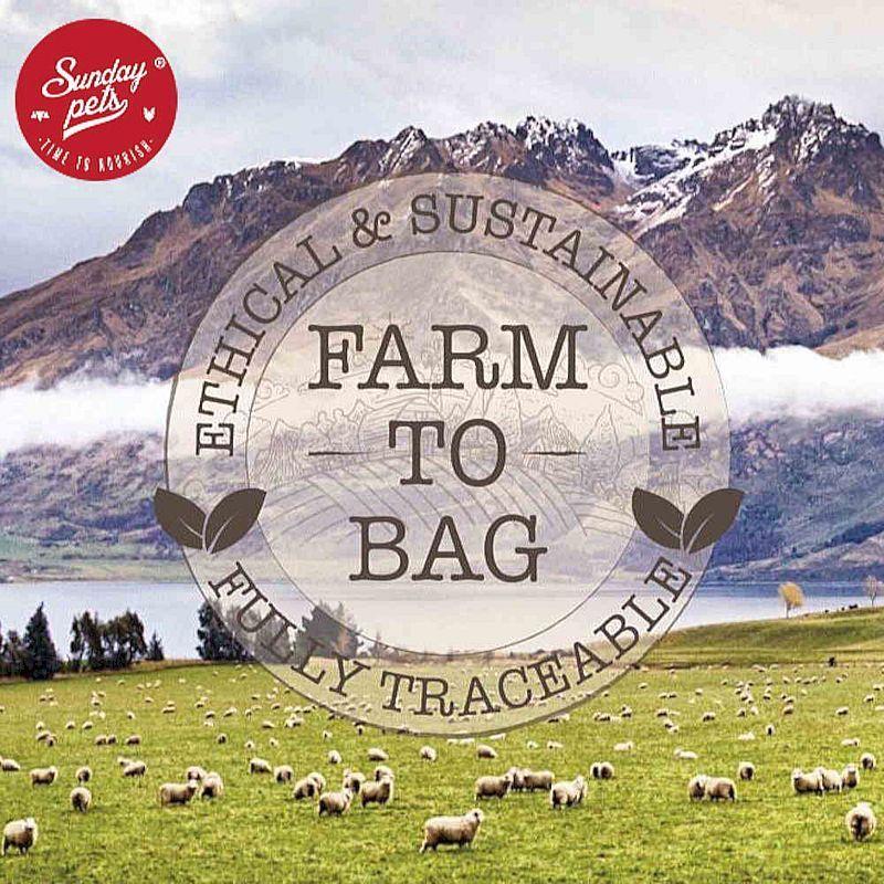 最短賞味2026.10・サンデーペッツ お試しサンプル ラム ウイズ トライプ20g小中型成犬用sp37018sa正規品 |  | 04