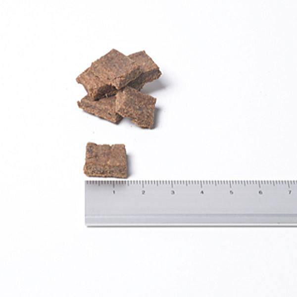 最短賞味2027.1.3・サンデーペッツ ジェントルベイク グレインフリー キングサーモン1.3kg小中型成犬用ドッグフードsp37100正規品 |  | 01