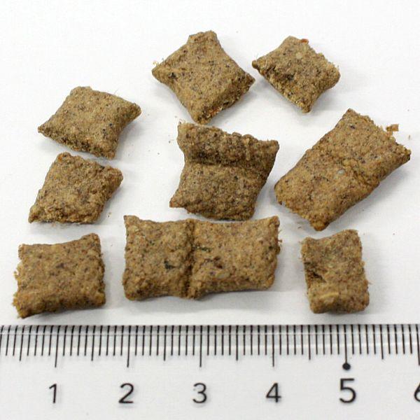 最短賞味2026.9.28・サンデーペッツ 猫 ジェントルベイク ワイルドホキ ウイズ トライプ1.3kg成猫用キャットフードsp37193正規品 | Sunday Pets | 01