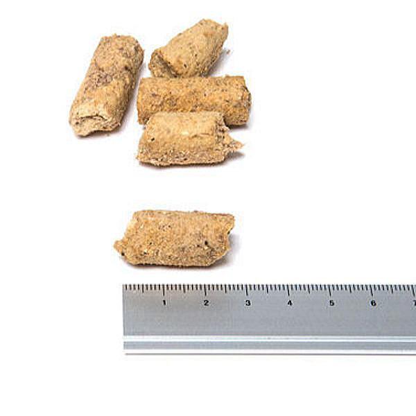 最短賞味2026.12.4・サンデーペッツ フリーズドライ/ロー・ビーフ454g成犬用ドッグフードsp99673正規品 |  | 01