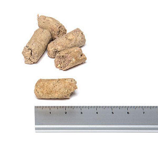 最短賞味2027.1.24・サンデーペッツ フリーズドライ/ロー・ラム454g成犬用ドッグフードsp99697正規品 |  | 01