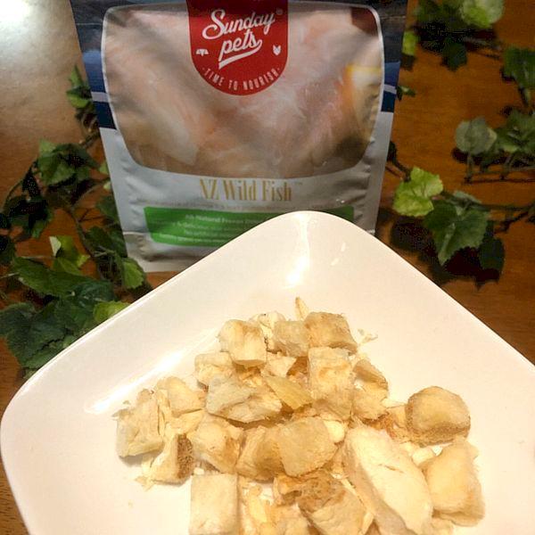 最短賞味2027.3・サンデーペッツ NZワイルドフィッシュ50g犬猫用フリーズドライおやつsp99741正規品 |  | 03