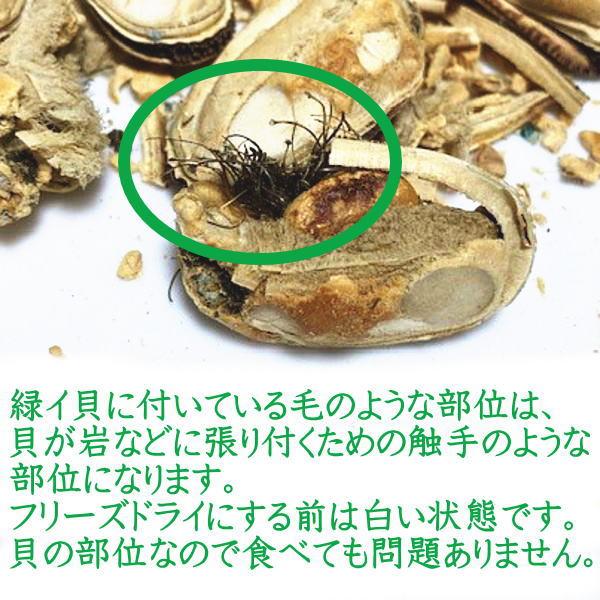 最短賞味2025.10・サンデーペッツ NZグリーンリップド50g緑イ貝フリーズドライおやつsp99758正規品 |  | 04