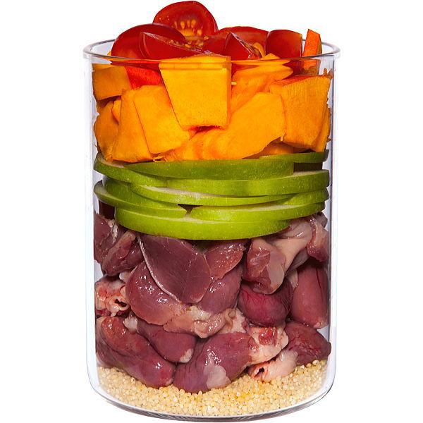 最短賞味2027.11・テラカニス 犬 パピー チキンとカボチャ400g缶