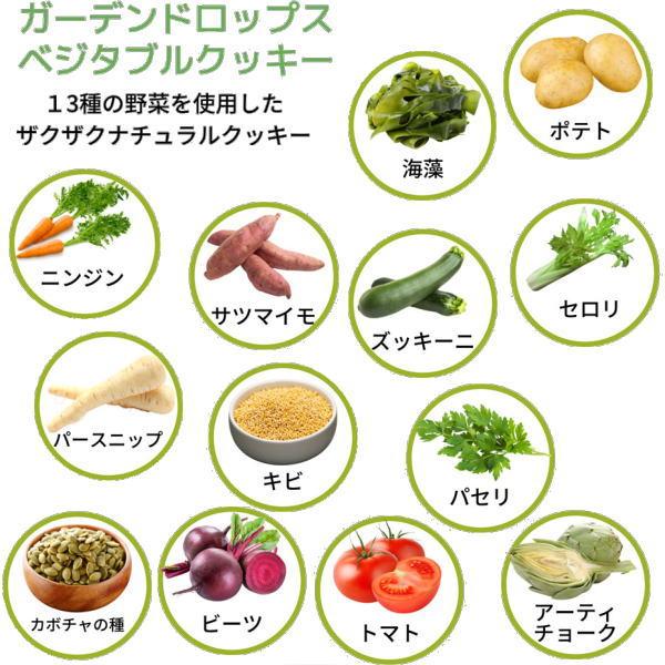 最短賞味2026.10・テラカニス ガーデンドロップス ベジタブルクッキー50g犬用おやつtc71134 |  | 01