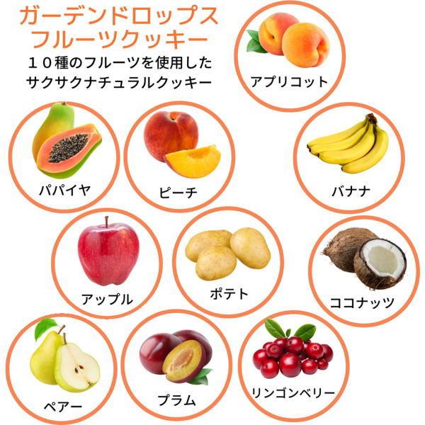 最短賞味2027.2・テラカニス ガーデンドロップス フルーツクッキー50g犬用おやつtc71141 |  | 01