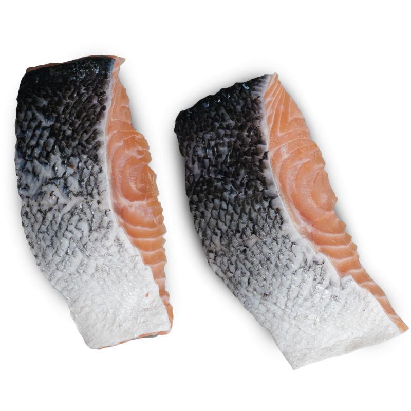 NEW 最短賞味2027.2.25・トライバル フレッシュサーモン （スリムキブル）1.5kg 全年齢犬用ドライ ドッグフードTRIBAL正規品tr12981 |  | 03