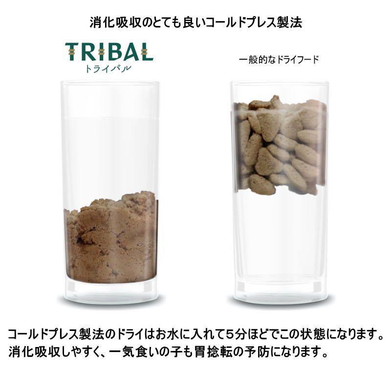 最短賞味2027.2.25・トライバル フレッシュターキー （スリムキブル）1.5kg 成犬用ドライ ドッグフードTRIBAL正規品tr13001 |  | 06