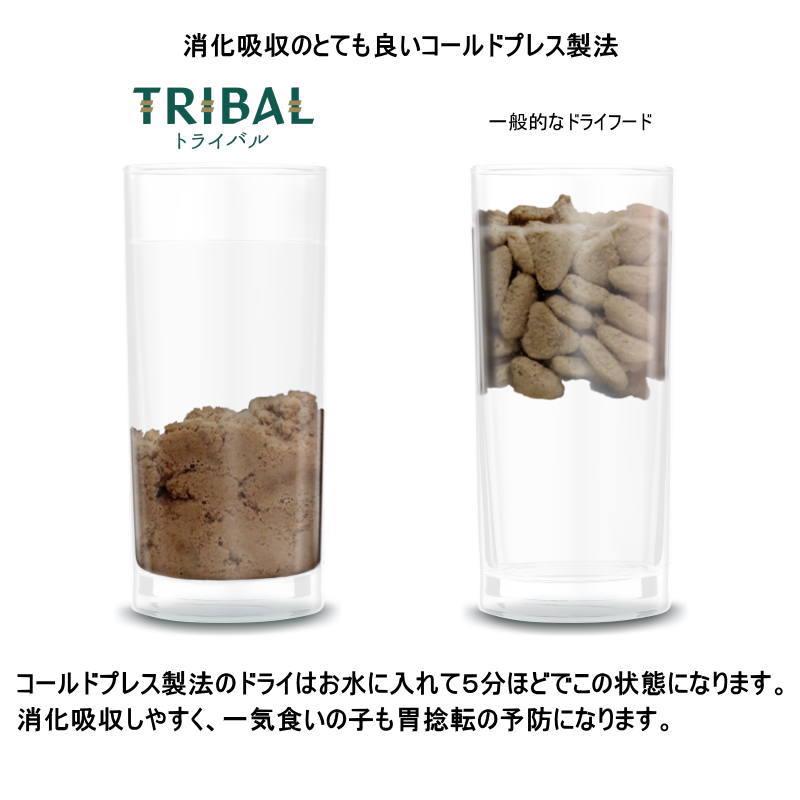 最短賞味2027.8.16・トライバル フレッシュ チキン 400g 成犬用ドライ ドッグフードTRIBAL正規品tr15156 |  | 05
