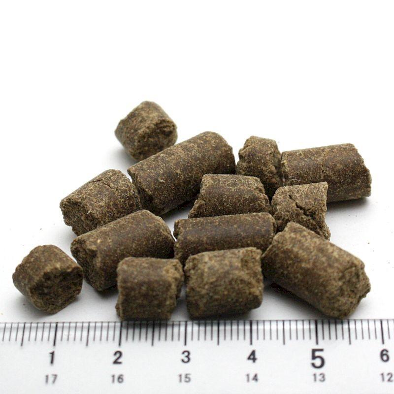 最短賞味2026.8.18・トライバル フレッシュ サーモン 400g 成犬用ドライ ドッグフードTRIBAL正規品tr21509 |  | 01