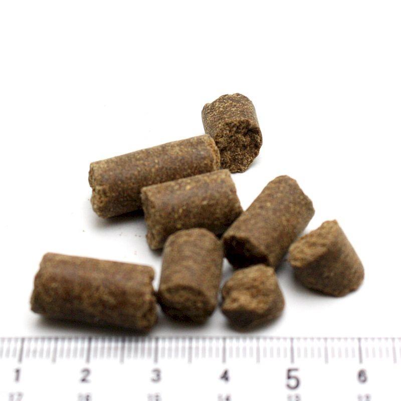 最短賞味2026.5.19・トライバル フレッシュ ターキー 400g 成犬用ドライ ドッグフードTRIBAL正規品tr21510※在庫限り終売 |  | 01