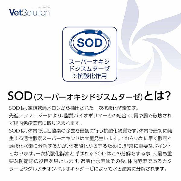 最短賞味2028.1.21・モンジ ベッツソリューション 猫用 尿中ストルバイトサポート 400g療法食 泌尿器疾患対応 正規品ve83026 |  | 06