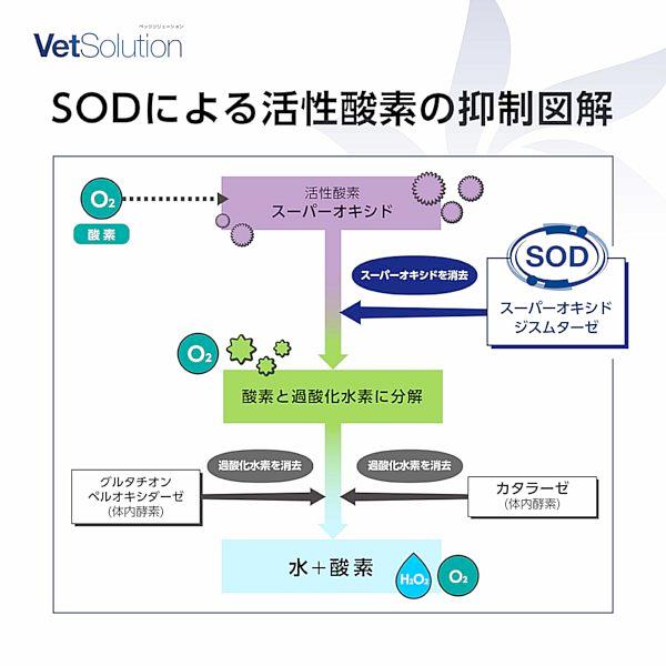 最短賞味2028.1.21・モンジ ベッツソリューション 猫用 尿中ストルバイトサポート 400g療法食 泌尿器疾患対応 正規品ve83026 |  | 07