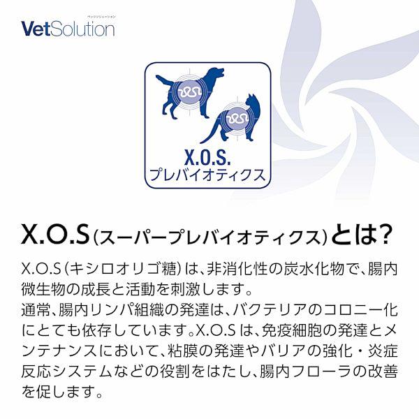 最短賞味2028.1.21・モンジ ベッツソリューション 猫用 尿中ストルバイトサポート 400g療法食 泌尿器疾患対応 正規品ve83026 |  | 08